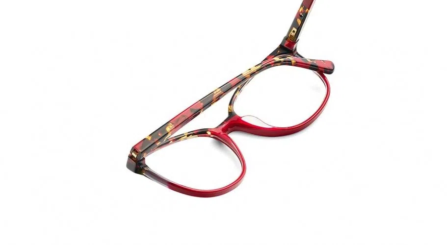 Etnia Barcelona VERACRUZ Eyeglasses - view 15